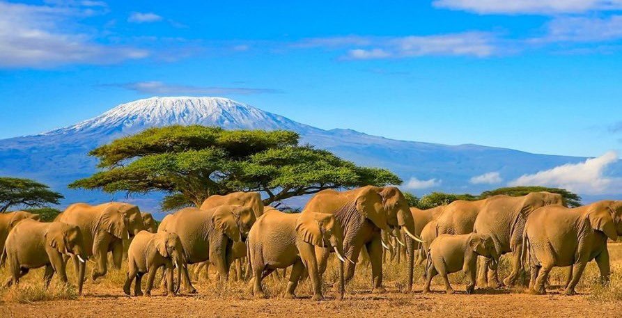 Tanzania History Image